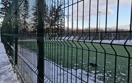 Cетка 3d пруток 4,8 мм, яч.55х200 мм, 2530х2430мм, RAL 6005, зеленый мох Def
